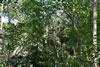 2011-07-03-14h07m47