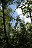 2011-07-03-14h08m40