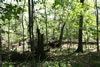 2011-07-03-14h09m04
