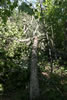 2011-07-03-14h09m17