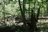 2011-07-03-14h09m54