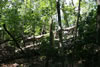 2011-07-03-14h10m48