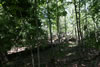 2011-07-03-14h12m01