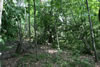 2011-07-03-14h12m46