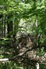 2011-07-03-14h13m36