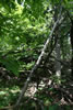 2011-07-03-14h13m46