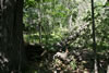 2011-07-03-14h16m41