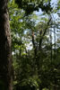 2011-07-03-14h16m53
