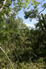 2011-07-03-14h17m43
