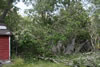 2011-07-03-14h19m53