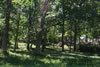 2011-07-06-11h19m16