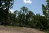 2011-07-06-11h19m27