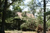 2011-07-06-11h19m44