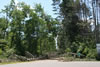 2011-07-06-11h19m52
