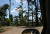 2011-07-06-11h21m41