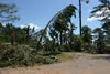 2011-07-06-11h21m44