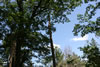 2011-07-06-11h22m05