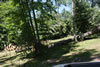 2011-07-06-11h22m28