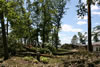 2011-07-06-11h22m54