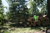 2011-07-06-11h23m09