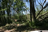 2011-07-06-11h23m14