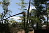 2011-07-06-11h23m52