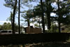 2011-07-06-11h23m54