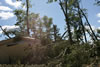 2011-07-06-11h23m59