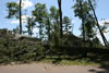 2011-07-06-11h24m00