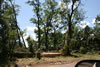 2011-07-06-11h24m01