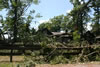 2011-07-06-11h24m06