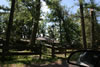 2011-07-06-11h24m12