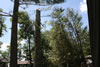 2011-07-06-11h24m13