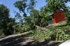 2011-07-06-11h24m34