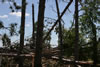 2011-07-06-11h28m40