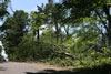 2011-07-06-11h31m02