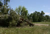 2011-07-06-12h13m43