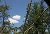 2011-07-06-12h16m00