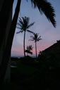 2011-02-16-06h52m01