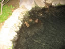 2011-02-17-23h39m08