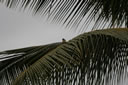 2011-02-20-07h11m12