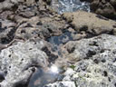 2011-02-20-14h52m02
