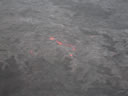 2011-02-20-19h59m54
