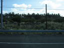2011-02-21-12h46m51