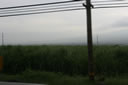 2011-02-22-08h23m32