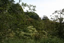 2011-02-22-09h56m45