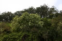 2011-02-22-09h58m47