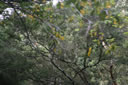 2011-02-22-10h12m07