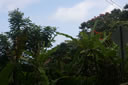 2011-02-22-12h20m09