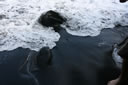 2011-02-22-12h53m52